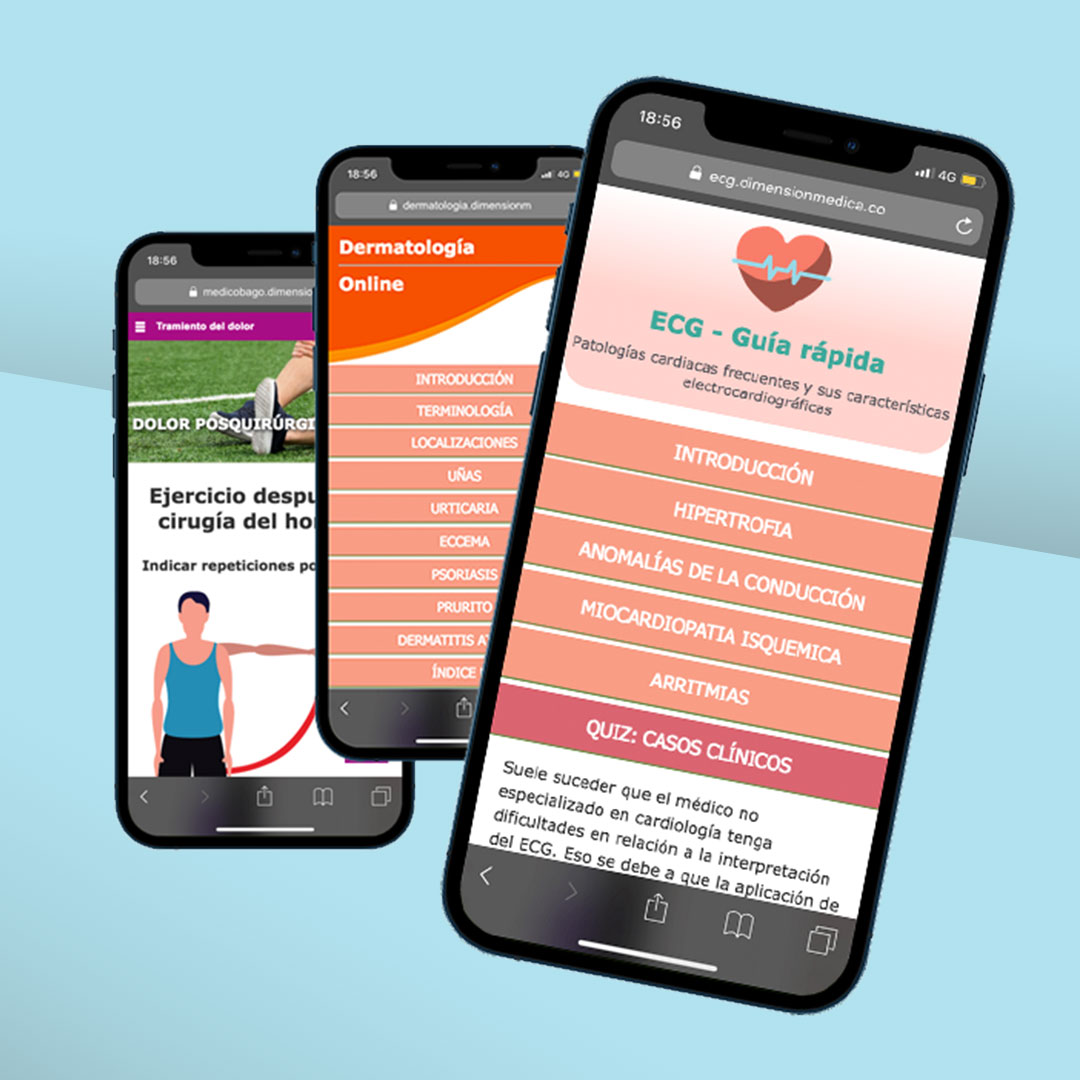 Ilustración anatómica