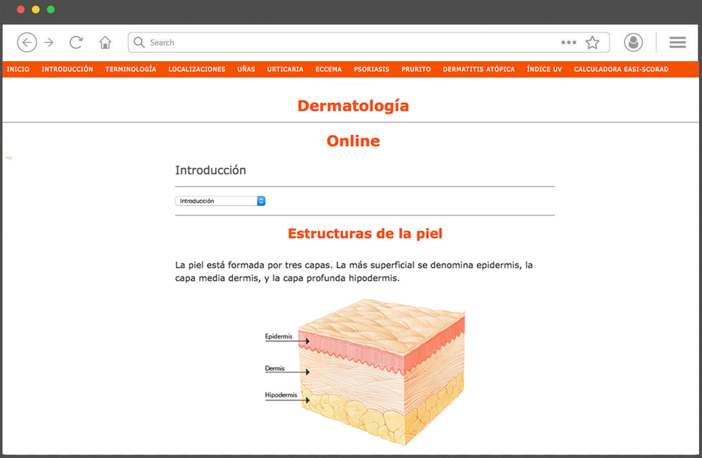 Web app de especialidades